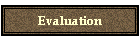 Evaluation