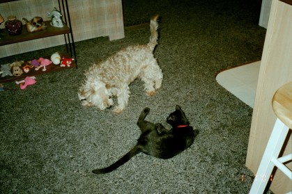 Salem and Freckles