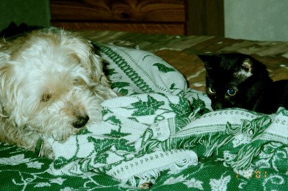 Freckles and Salem