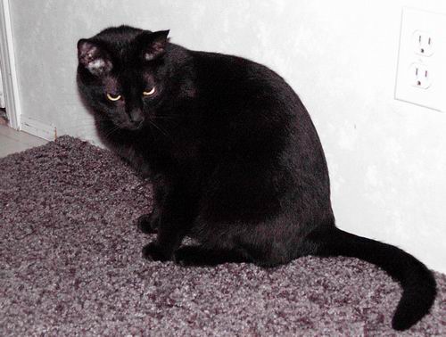Salem