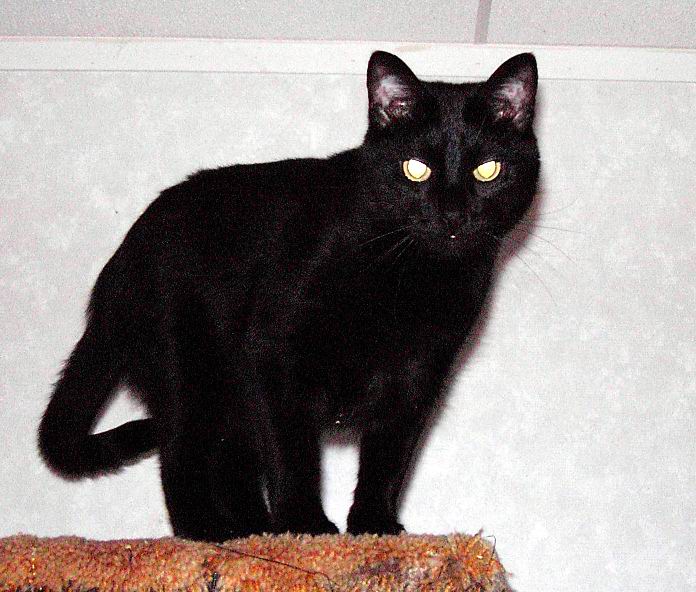 Salem