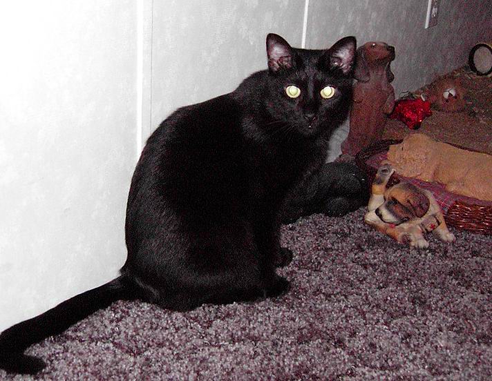 Salem
