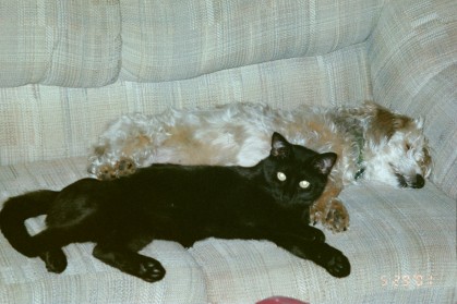 Salem and Freckles