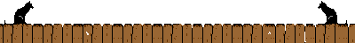 Wooden fence