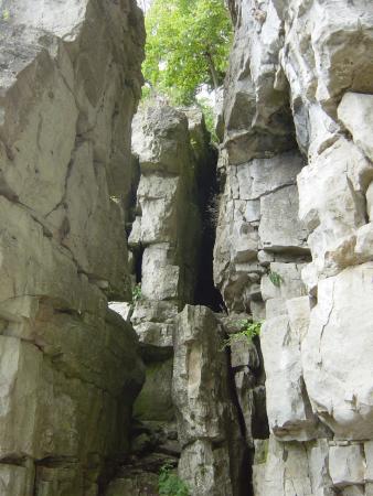 Rattlesnake Point Trail