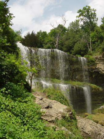 Webster Falls