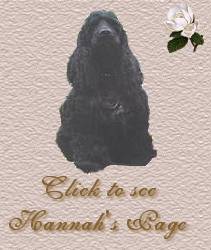 Hannah's Webpage