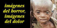 Diario Accion de General Rodriguez, politica, actualidad, noticias e informacion, personalidades e instituciones, policiales, galerias de fotos; historia de General Rodriguez, sus origenes, edificios, estancias, habitos y costumbres, anecdotas, comercios e industrias, los fundadores, antiguas instituciones, fotos e imagenes; suplementos especiales: la crisis politica, economica y social de la Argentina, los acontecimientos de Diciembre de 2001, articulos y entrevistas; Emigracion: toda la informacion destinada a aquellos que desean emigrar, radicarse o estudiar en el exterior, visas, pasaportes, consejos, guias, informacion util, links; Trueque: novedades e informacion, links, estructura del trueque; el casamiento de Maxima Zorreguieta y el principe Guillermo Alejandro de Holanda; Guerra de Afganistan: galeria de imagenes e informacion sobre la primera guerra del siglo XXI; la guerra de Irak, Bagdad, Georges W. Bush, Saddam Husseim, el atentado a las torres Gemelas de Nueva York, las twin towers, el 11-s, y descripcion del hecho que conmovio al mundo; Empleo: consultoras, clasificados, agencias de empleo, consejos e informacion util, curriculum vitae, como confeccionarlos, noticias de actualidad; 
Los numeros de la crisis: Las consecuencias de la crisis politica, economica y social; estadisticas, pobreza, desnutricion, salud y asistencia; noticias regionales y provinciales, columnas y editoriales; informacion para negocios: pymes, links, empresas y negocios; Agenda Cultural con toda la informacion de cursos, universidades, talleres, escuelas y oportunidades, exposiciones de arte de la region; buscadores en Internet, Enlaces: links a los mejores sitios de educacion, cultura, arte, biografias, politica, interes general, web, Links del Diario Accion: RMS Titanic, su historia, su tragico viaje inaugural; historias, testimonios, documentos y articulos sobre el naufragio; links y sitios sobre el tema; la pelicula de Cameron, fotos e imagenes; suplementos especiales, Historia Argentina y de General Rodriguez, la llegada de la democracia en General Rodriguez, la asuncion de Juan Lumbreras como intendente en 1983, galeria de imagenes, sus palabras y los actos, su gabinete, festejos de la comunidad. Fundacion del pueblo de General Rodriguez, sus instituciones y personalidades relevantes, arquitectura y edificios, comercios e industrias, sus comienzos, estancias, inmigraciones italianas, espa�olas, vascas e irlandesas, anecdotas y efemerides, sus hombres ilustres, el Hospital Vicente Lopez y Planes, su fundacion por las Damas de Beneficencia, el hundimiento del crucero General Belgrano, testimonios de ex combatientes y tripulantes, su comandante Hector Elias Bonzo, fotos e imagenes, recuerdos y homenajes, historia de la familia Bonzo de General Rodriguez, entrevistas y articulos periodisticos. La guerra de Malvinas en el Atlantico Sur, el conflicto belico con Gran Breta�a de 1982, politicos relevantes, Benjamin Paez y Trueba, fotos antiguas de familias fundadoras, galerias de imagenes de pobladores, recorrida virtual por el antiguo General Rodriguez, el paso de la Infanta en 1910, historia de La Serenisima, la familia Mastellone, La Choza, Bernardo de Irigoyen, peronismo y radicalismo y muchisimo mas