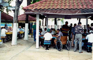 1995littlehavana2.jpg (81298 bytes)