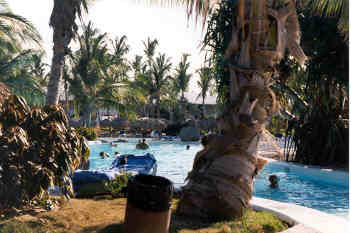 1999pool2.jpg (98988 bytes)