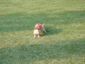 Katie.gif (616625 bytes)