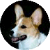 home2katie.gif (4347 bytes)