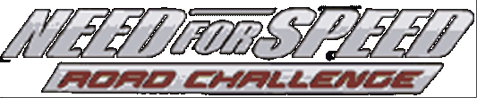 nfs4-BR-LOGO.GIF (32826 bytes)