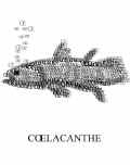 COELACANTHE