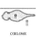 COELOME