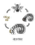 OESTRE