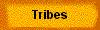  Tribes 
