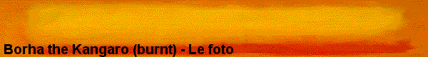  Borha the Kangaro (burnt) - Le foto 