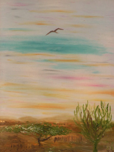 Click to view my Curacao photoalbum