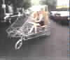 Didik Muscle Car
(Solar/electric/human hybrid vehicle)