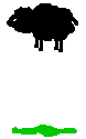 schaf-schwarz