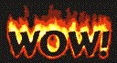 wow.gif