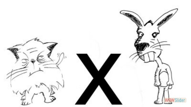 gartoxliebre