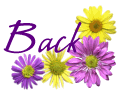 springmixbck.gif - 1225 Bytes