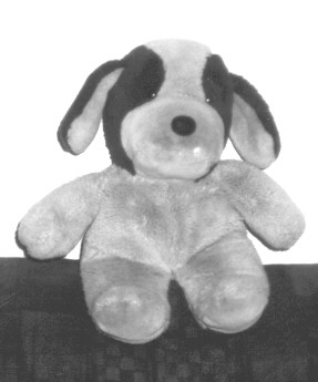 Dicker Hund-Foto