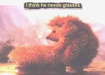 glasses