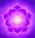 Solar Plexus Chakra