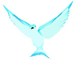 click to return to top