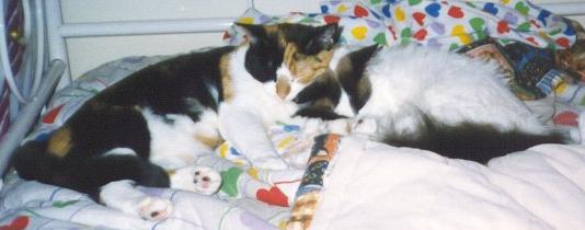 Phoebe and Charlie
