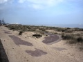[sandypath2]