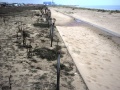 [sandypath3]