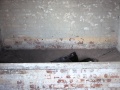 [washhuts2]