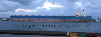 Anagel Splendor Passes By