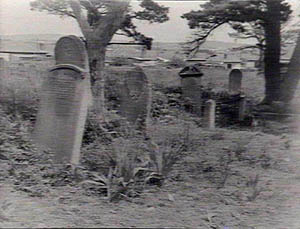 Gravestones of the Folly Cemetery courtesy of Picman Database State Library