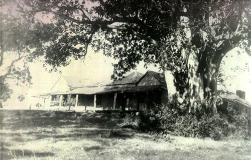 Waratah House