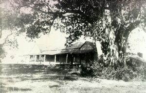 Click on Waratah House to read  an exerpt from Ross Deamer's Thesis