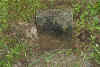 c r.jpg (105720 bytes)