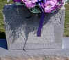 iris strunk woods.jpg (30418 bytes)