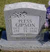 pless gipson.jpg (36188 bytes)