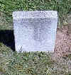 unknown mt paran 1.jpg (36952 bytes)