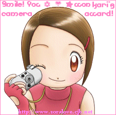Kari's Camera Award from Sora Hearts