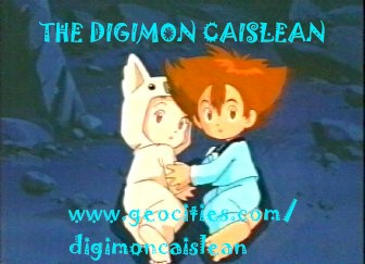 My Site Banner