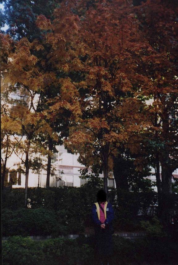 sapporo