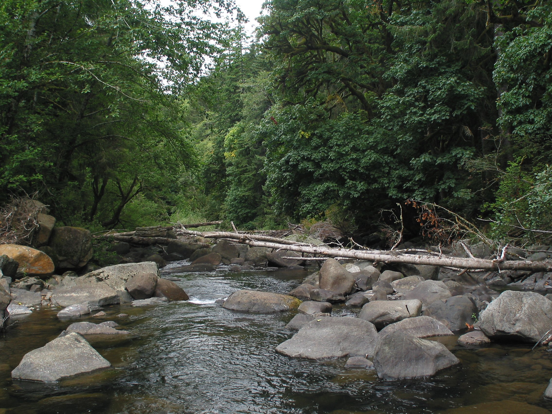 Little Nestucca River