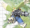 Galgomon