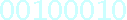 VISIT DIGITBIN NOW